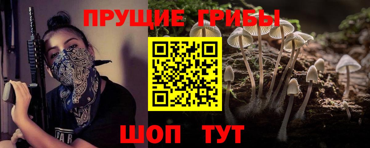 Псилоцибиновые грибы MAGIC MUSHROOMS Абинск
